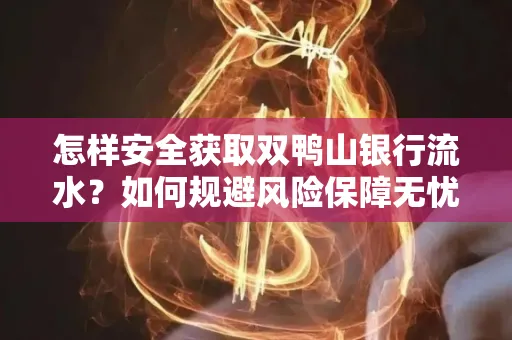 怎样安全获取双鸭山银行流水？如何规避风险保障无忧？