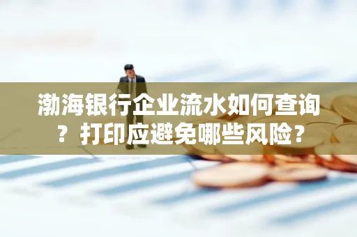 渤海银行企业流水如何查询？打印应避免哪些风险？